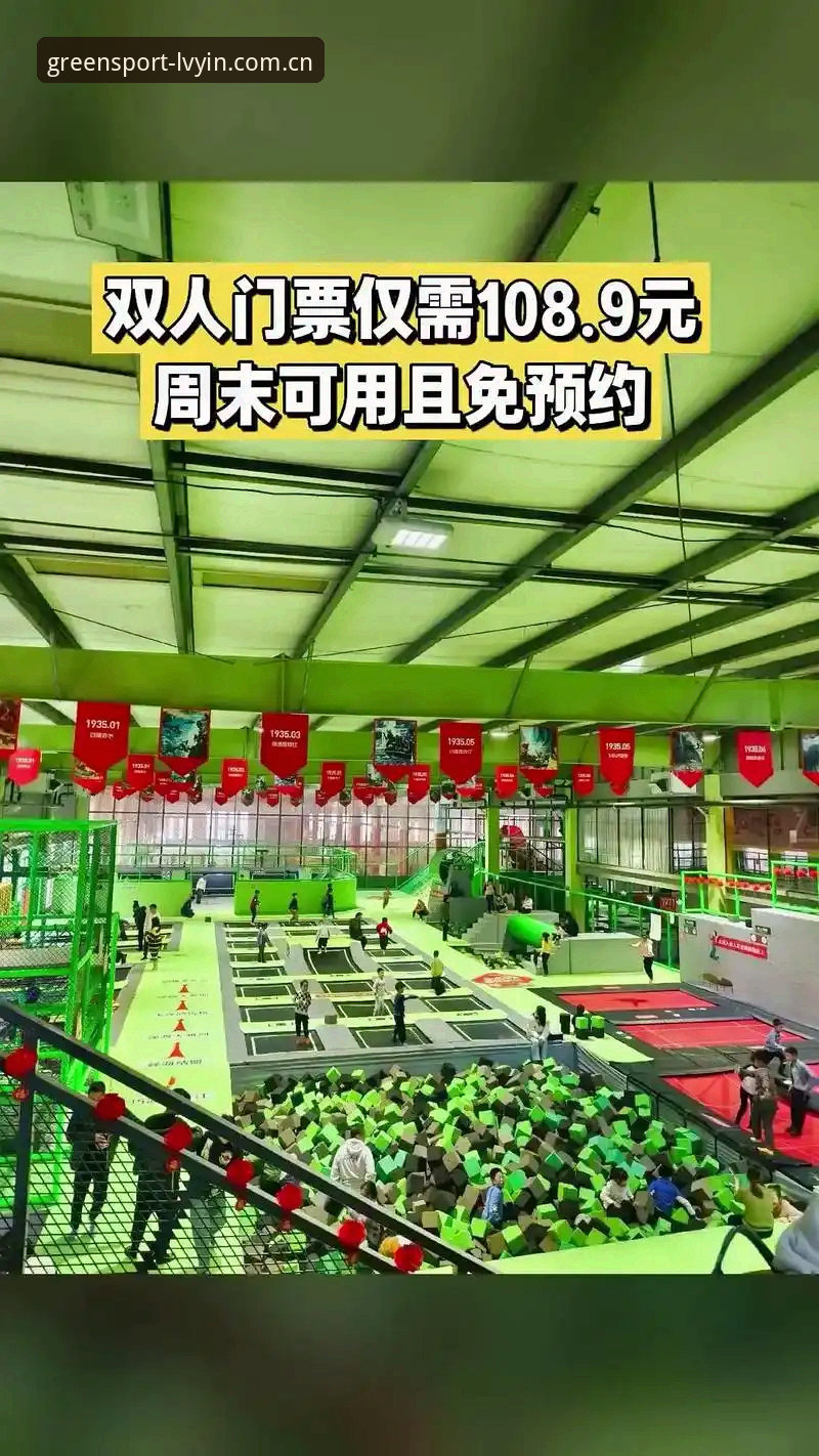 绿茵体育官方入口vs全新注册地址：2025新版登录体验深度对比